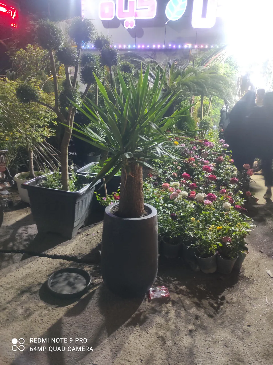 باغ گل وگیاه فردوس - تصویر 3