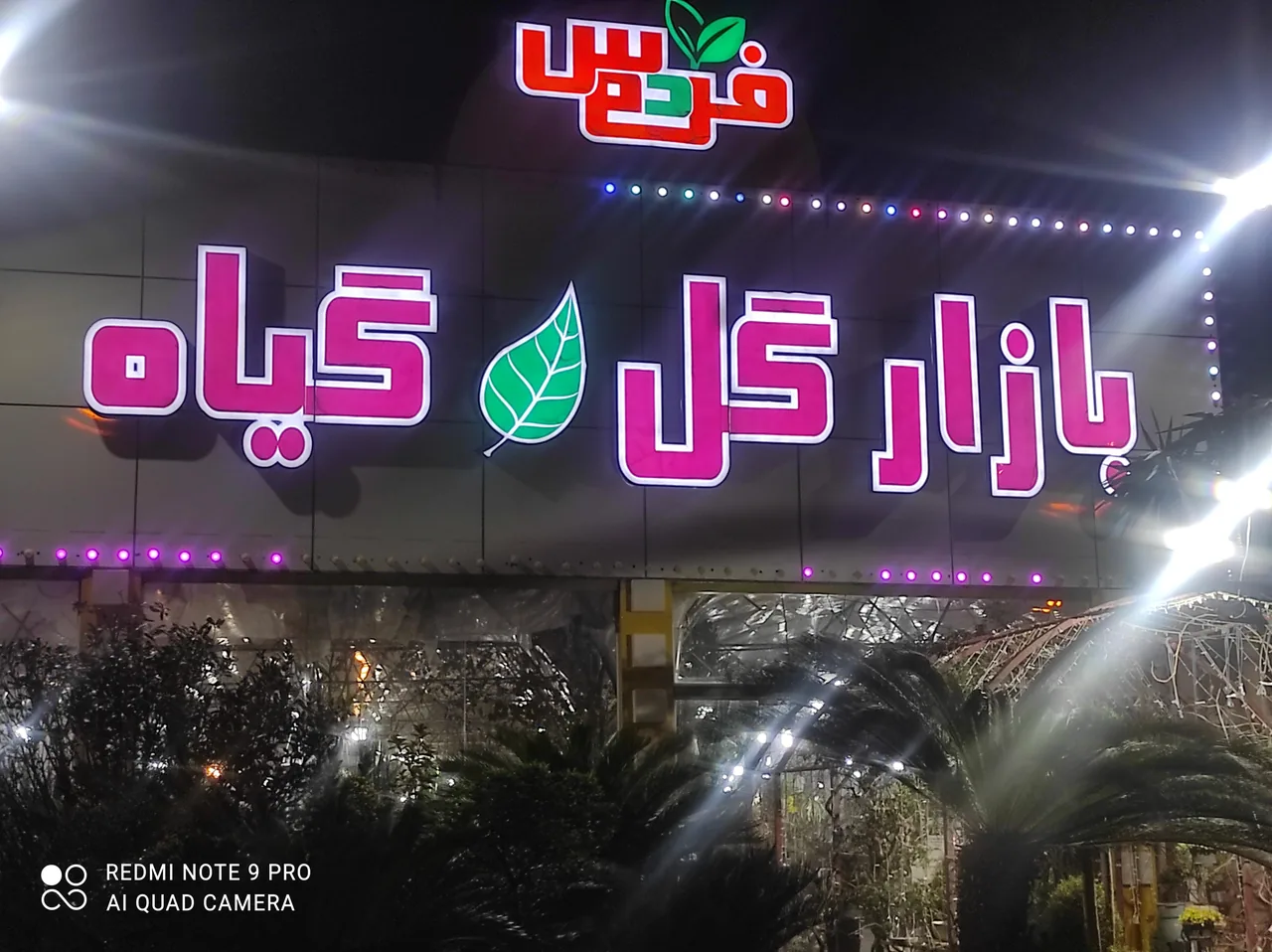 باغ گل وگیاه فردوس - تصویر 4
