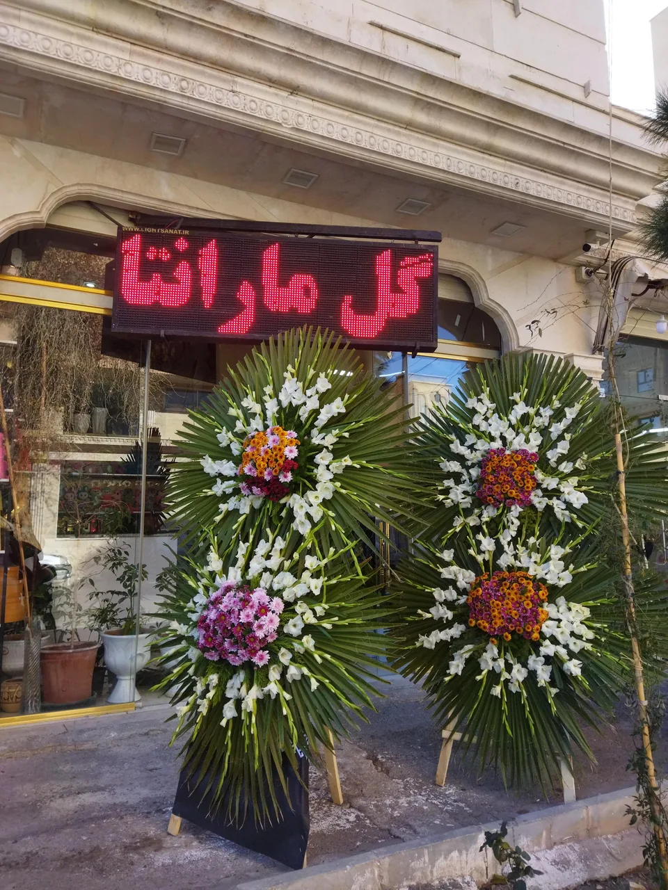 گل فروشی مارانتا - تصویر 2
