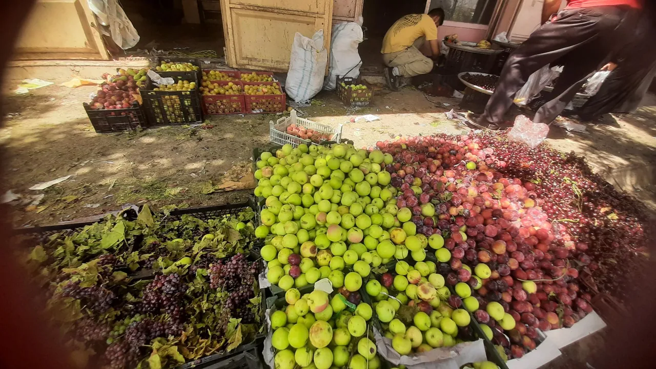 ارزان میوه صادق - تصویر 2
