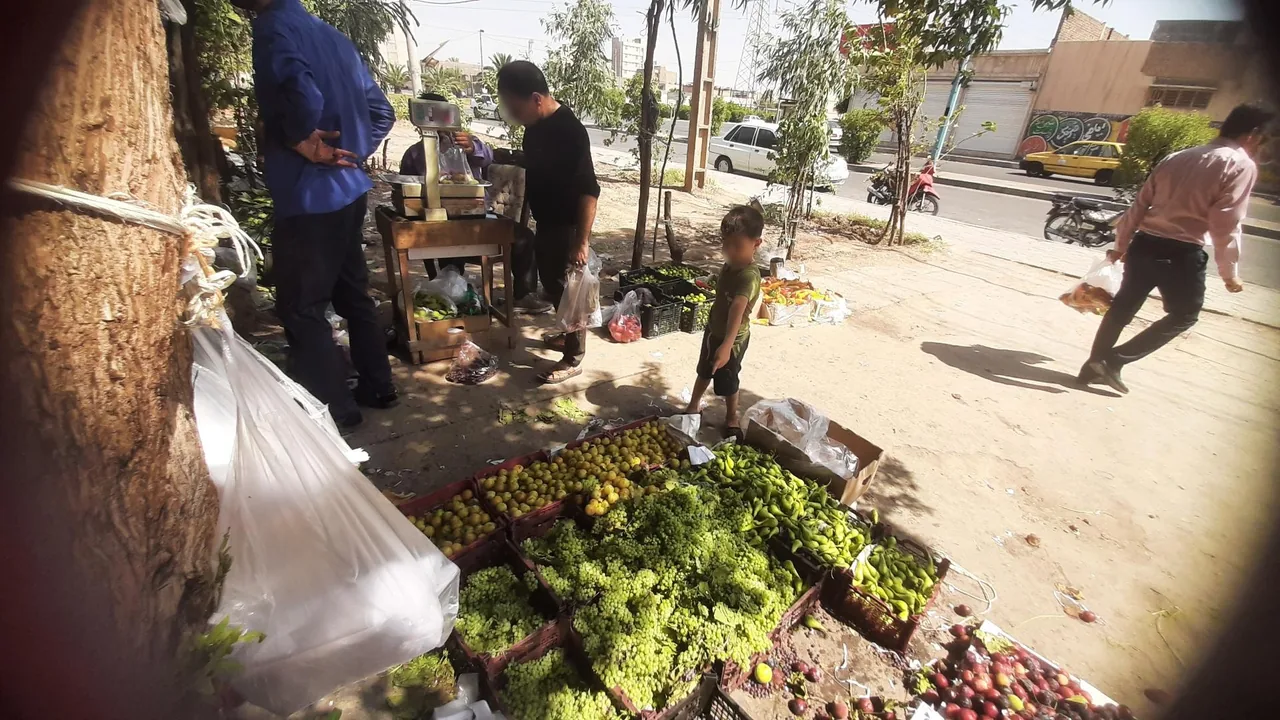 ارزان میوه صادق - تصویر 3