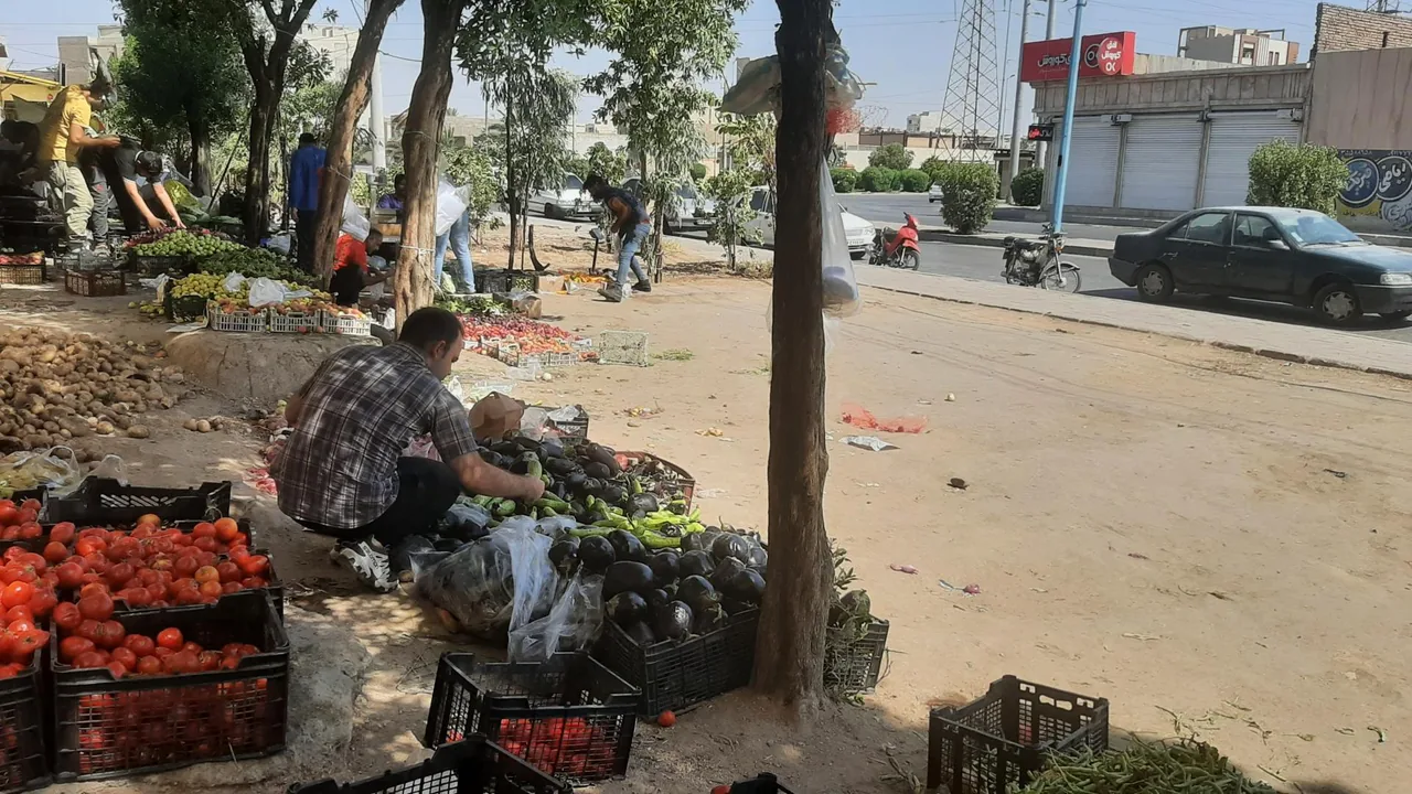 ارزان میوه صادق - تصویر 5