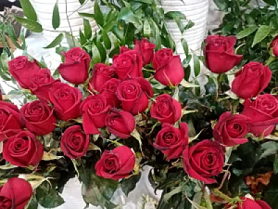 گل فروشی