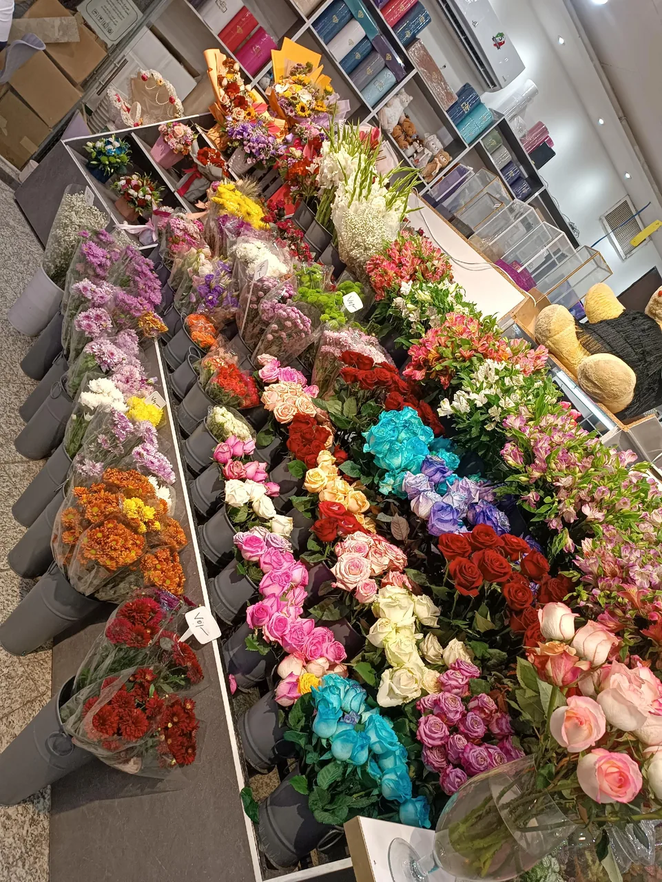فروشگاه گل وگیاه قاصدک - تصویر 4