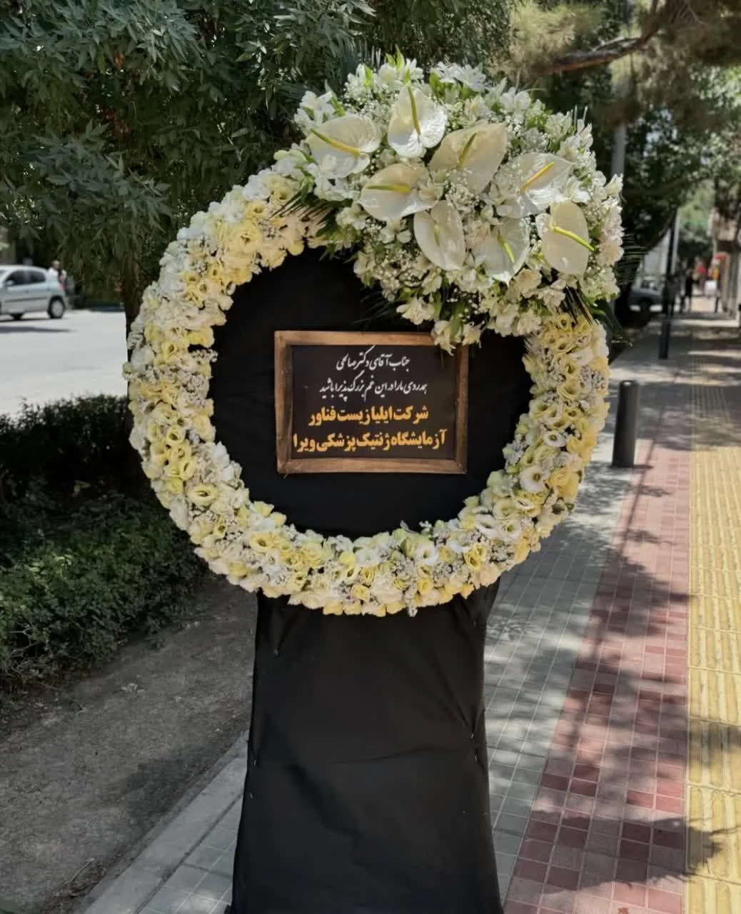 گل ویشه - تصویر 4