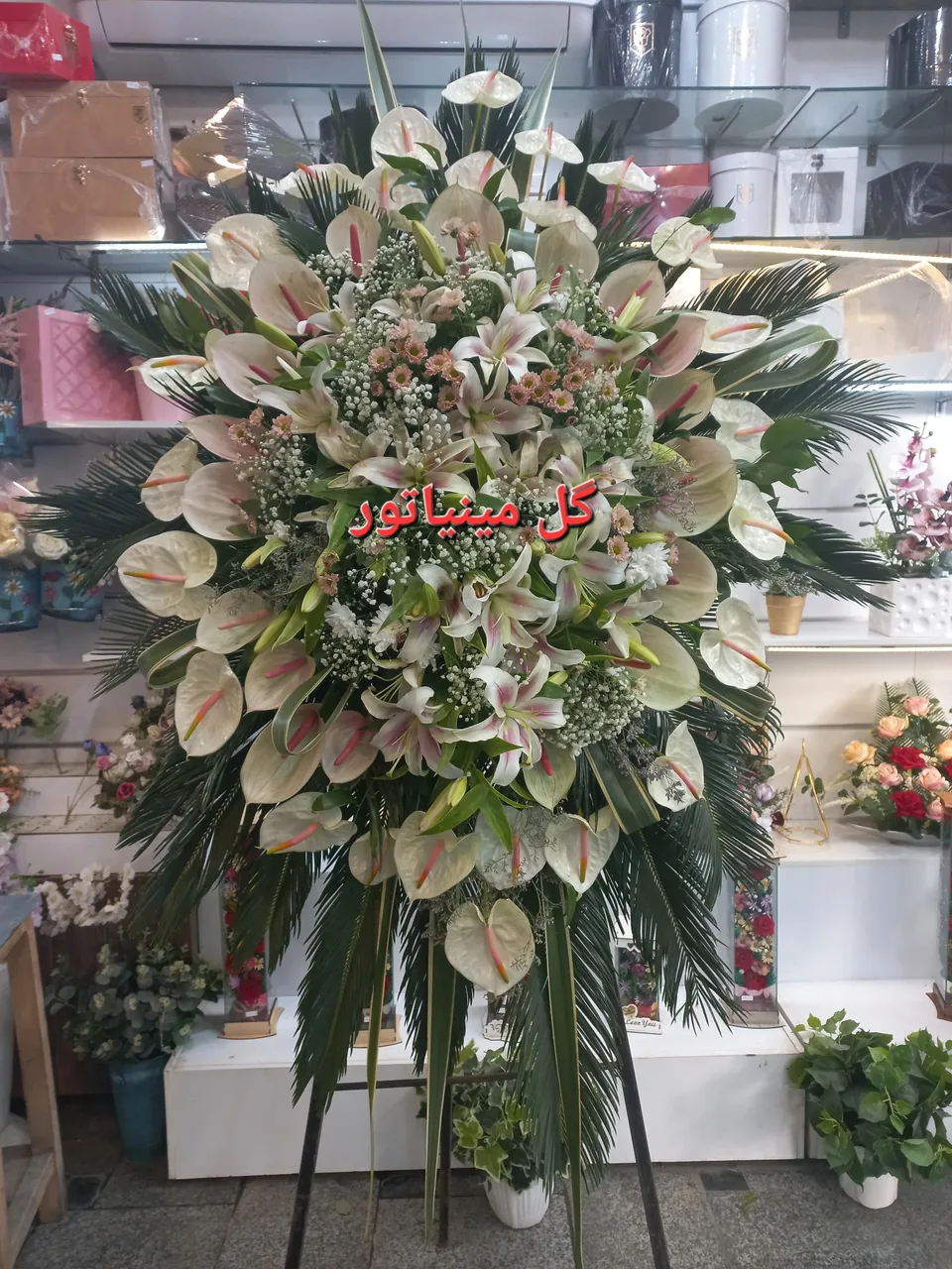 گل مینیاتور