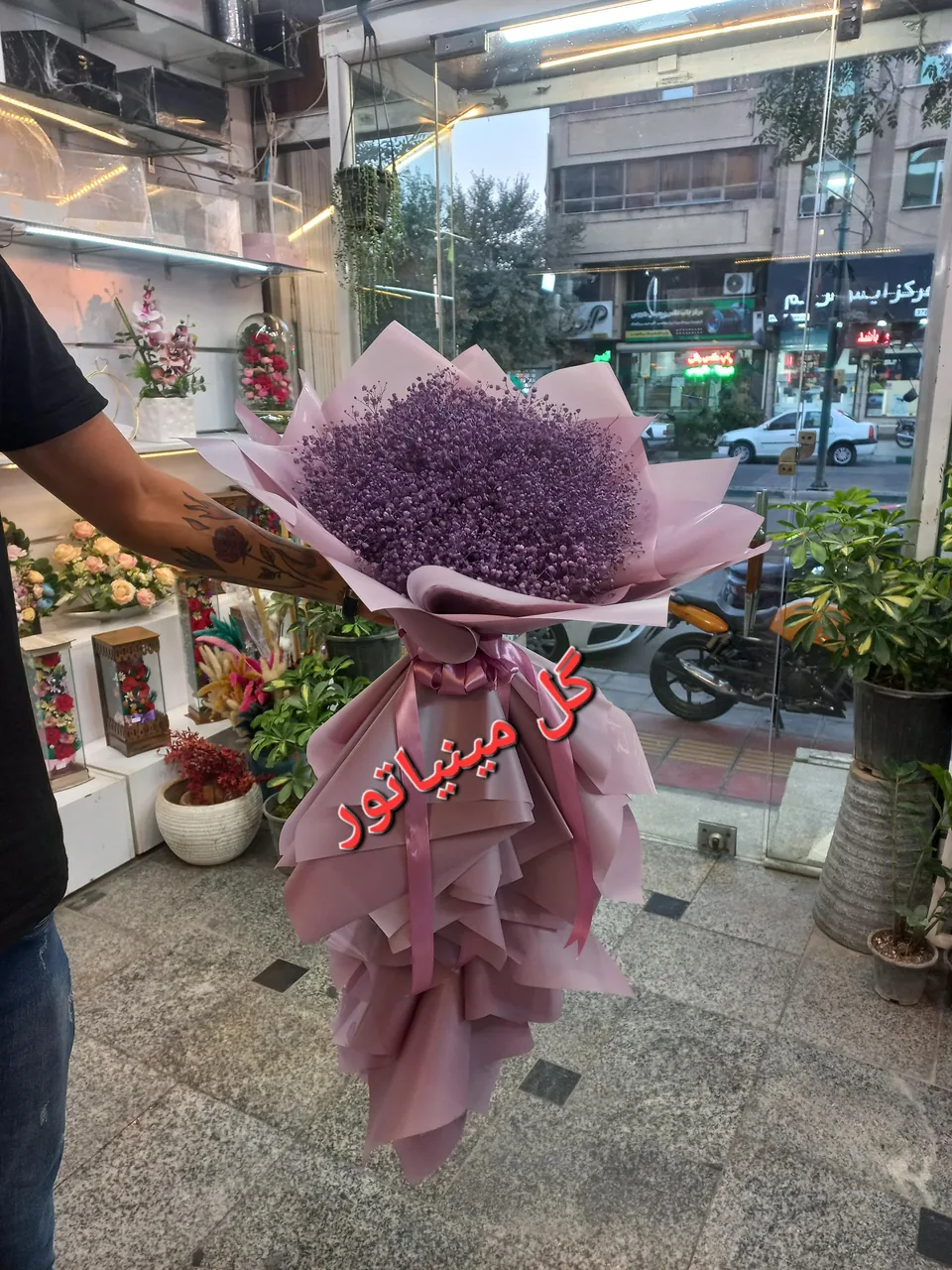 گل مینیاتور - تصویر 2