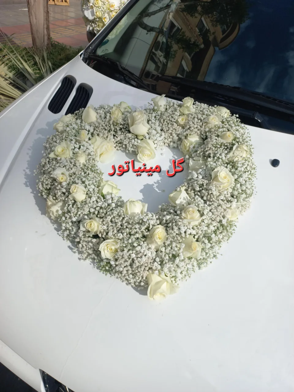گل مینیاتور - تصویر 3