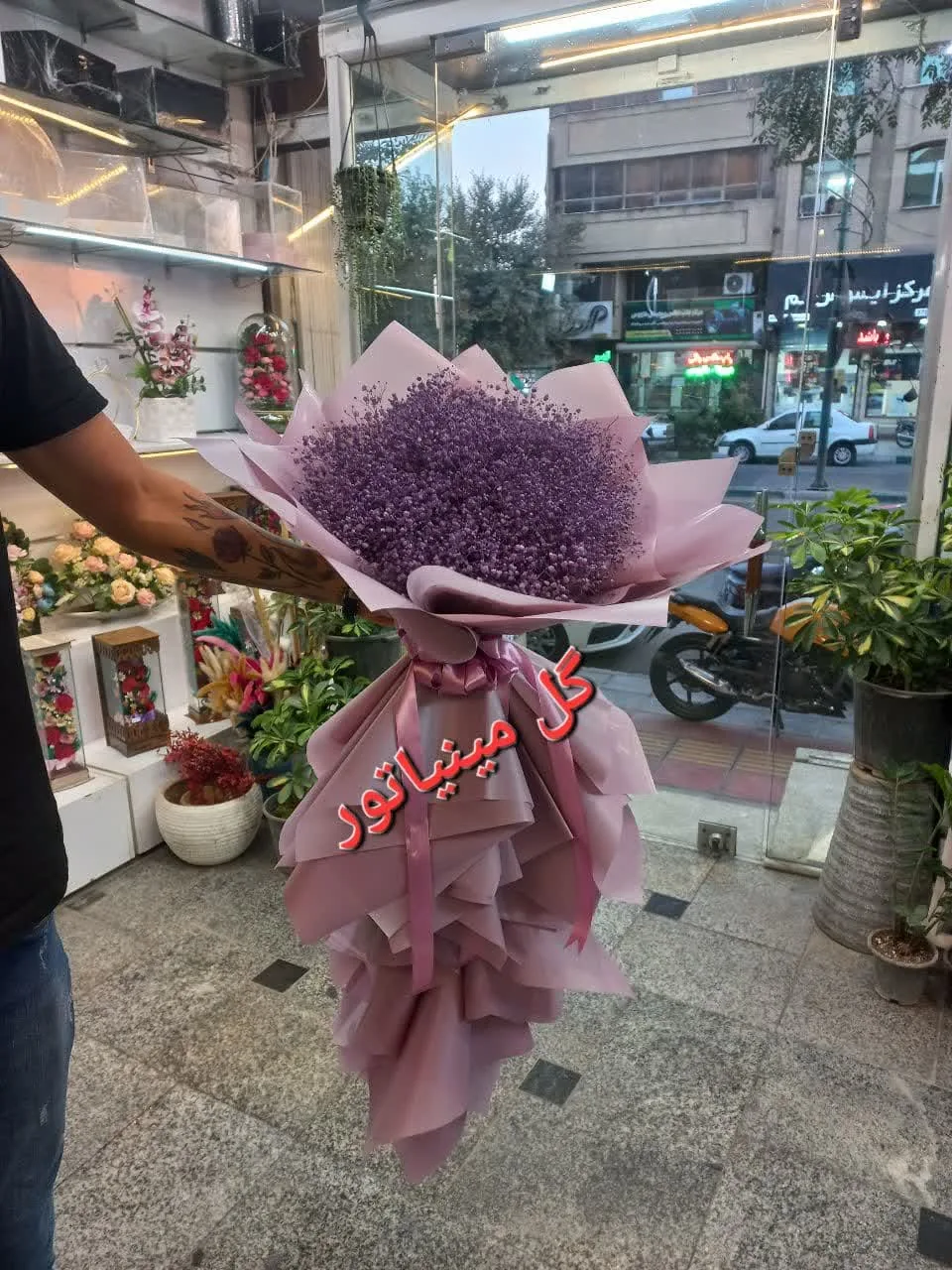 گل مینیاتور - تصویر 5
