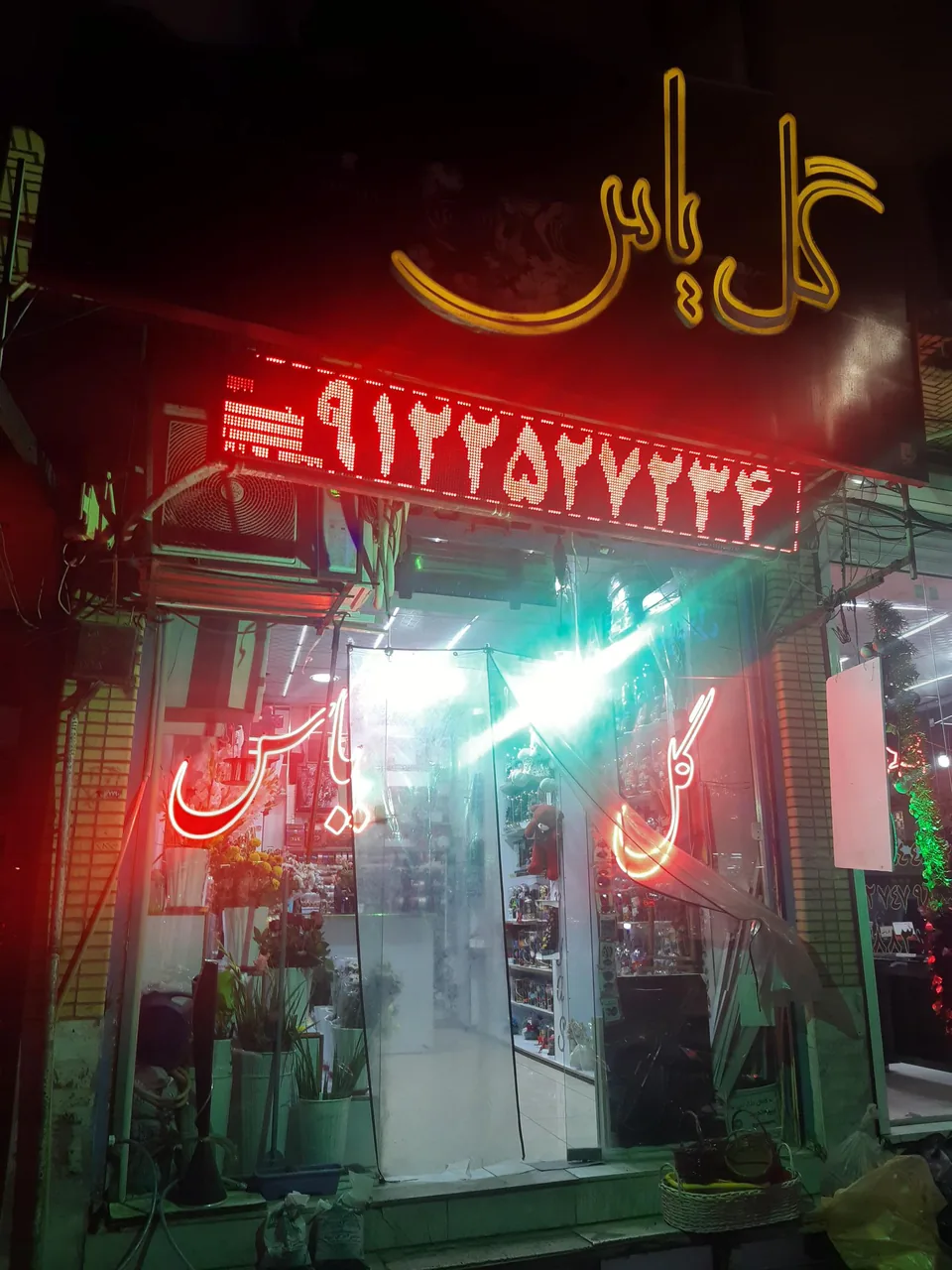 گل یاس