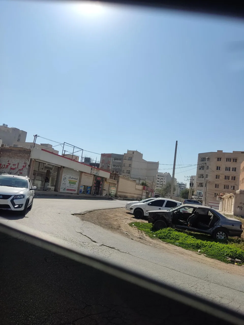 گلخانه دکترگل - تصویر 2