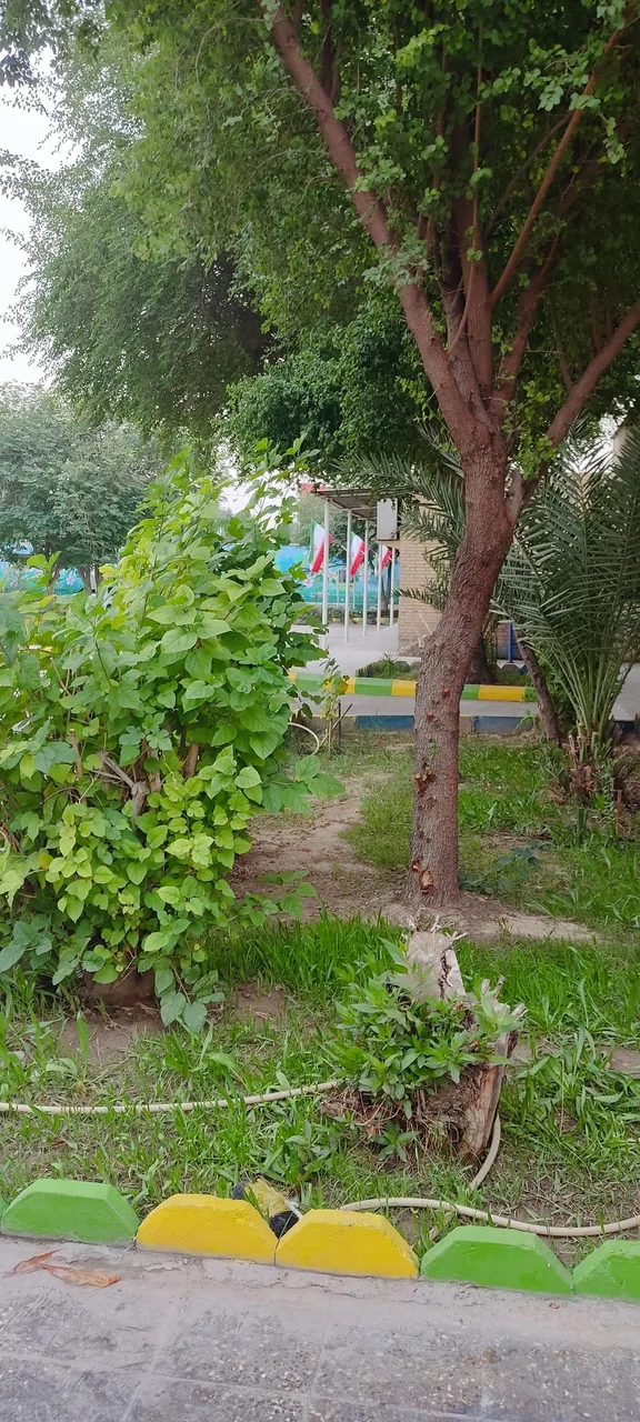 مجتمع فرهنگی و ورزشی تندگویان - تصویر 5