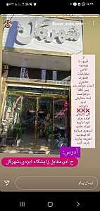 شهر گل