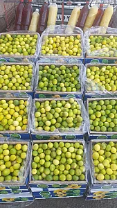 آبگیری شریفی
