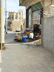 میوه فروشی مقدم