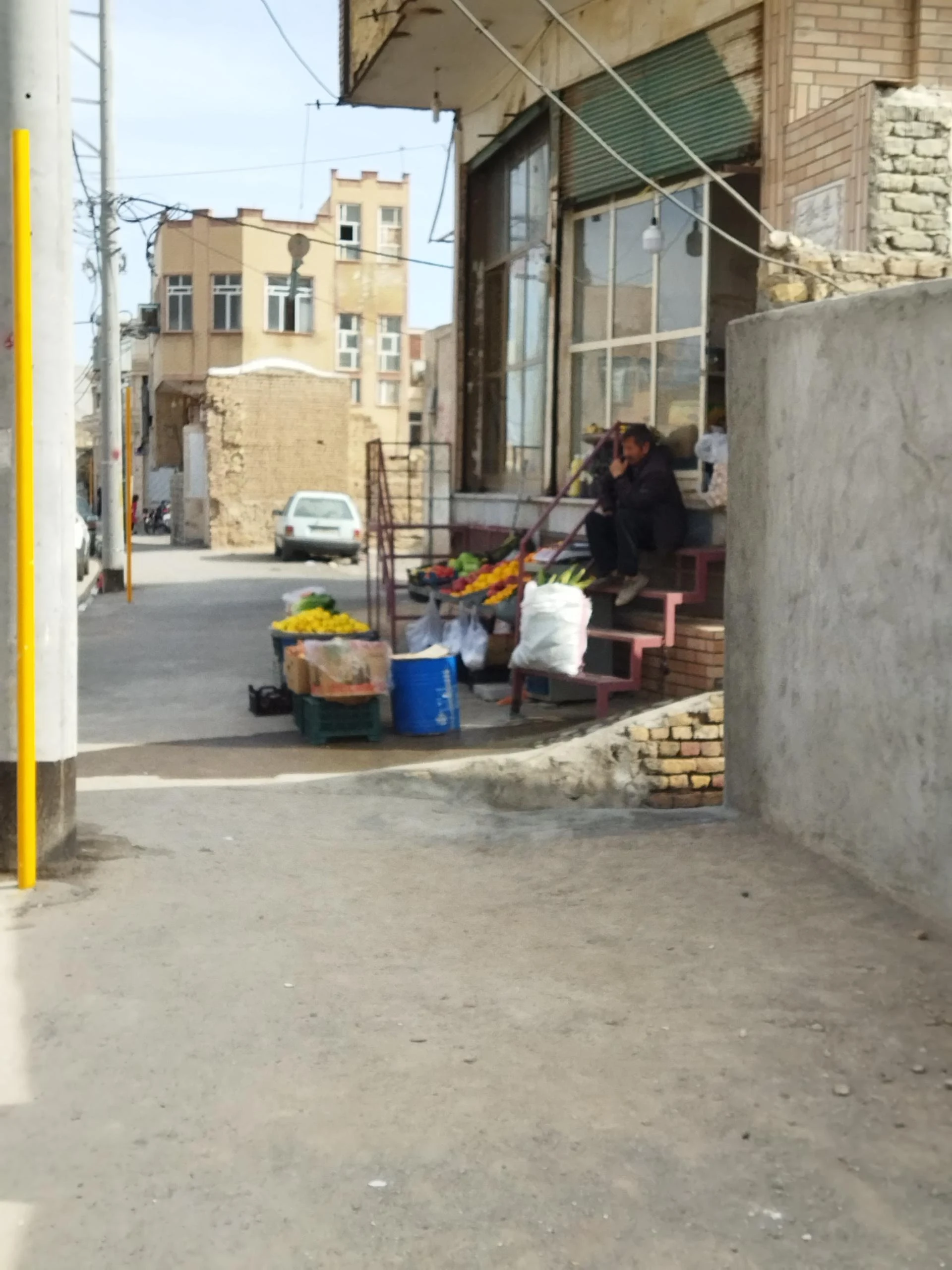 میوه فروشی مقدم