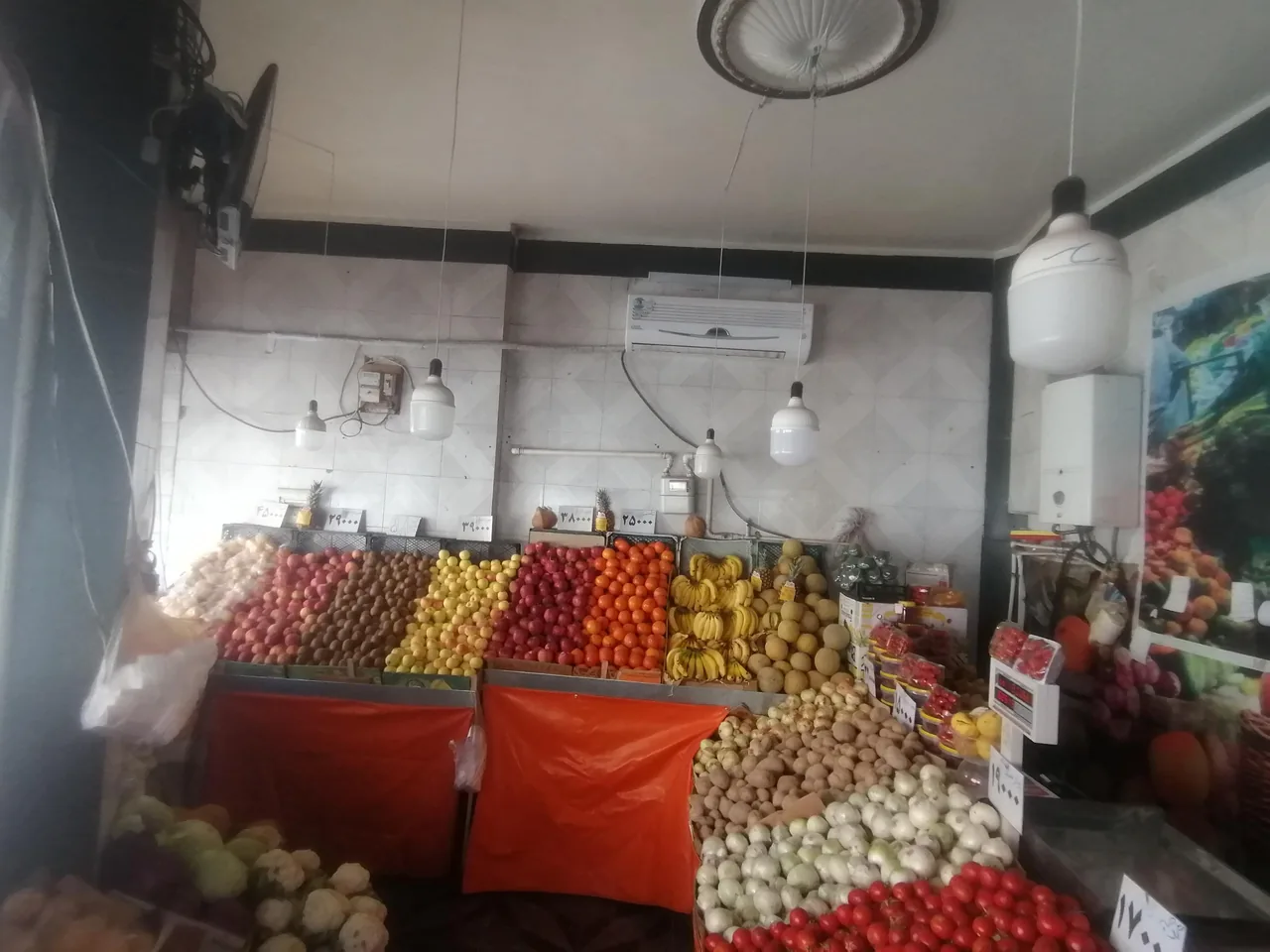 میوه سرای گندم