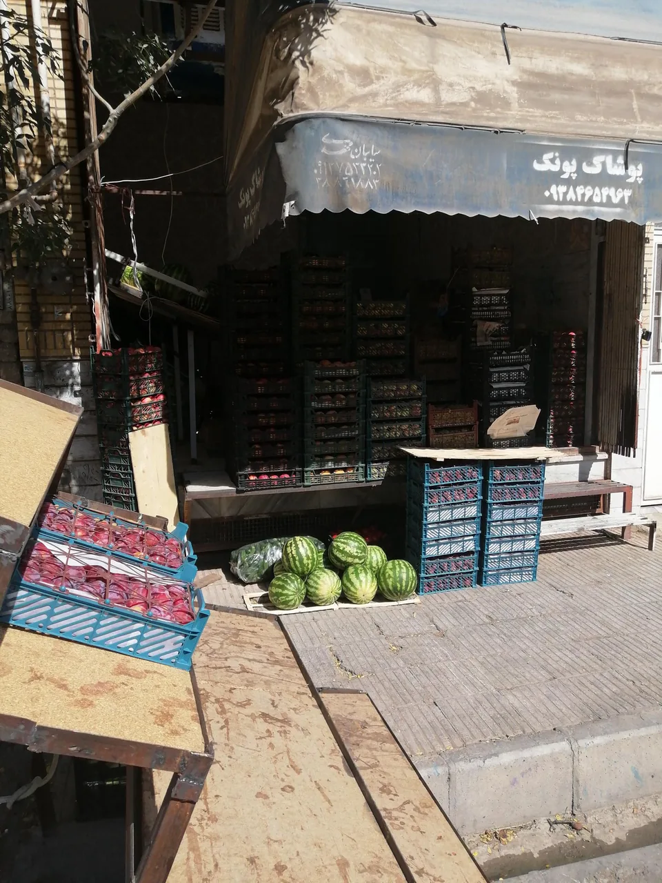 میوه فروشی حاجی ارزونی