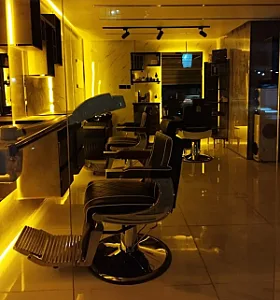 پیرایش پارسا