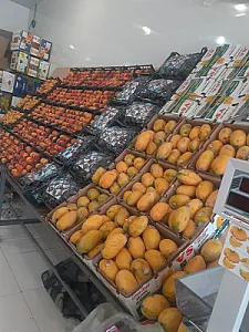 میوه فروشی اخوان محمدی