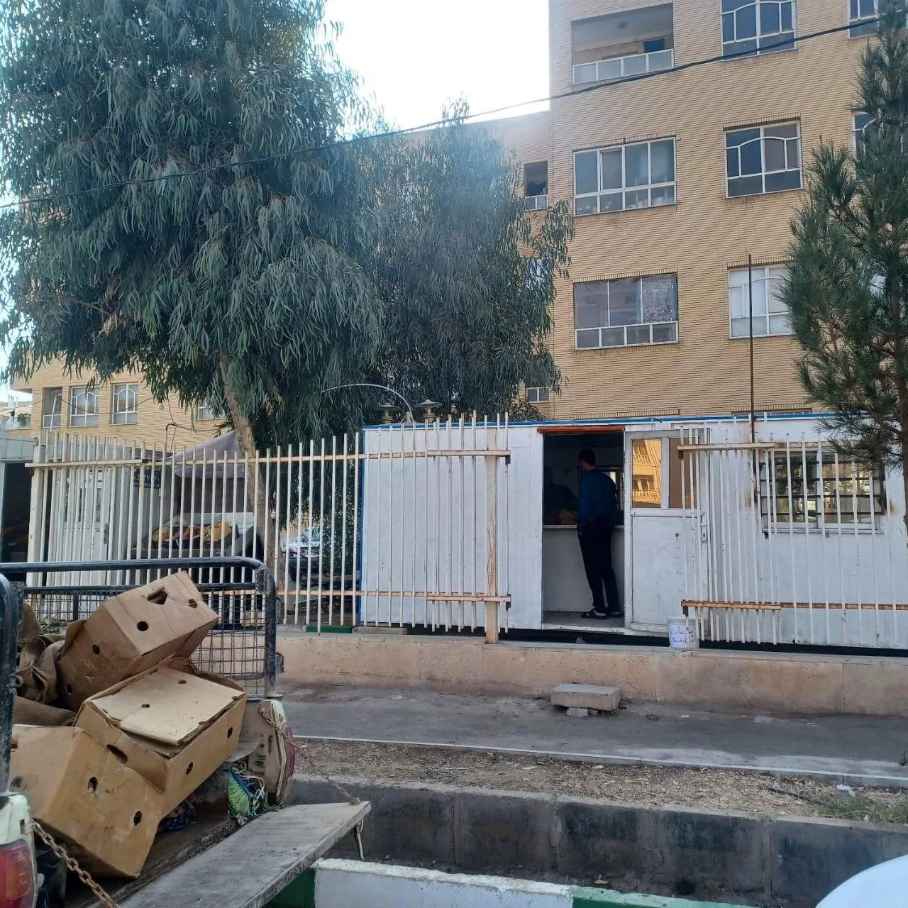 سبزی سادات - تصویر 2