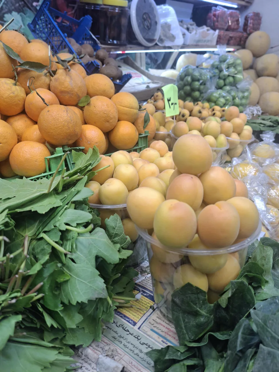 کلبه سبزی - تصویر 2