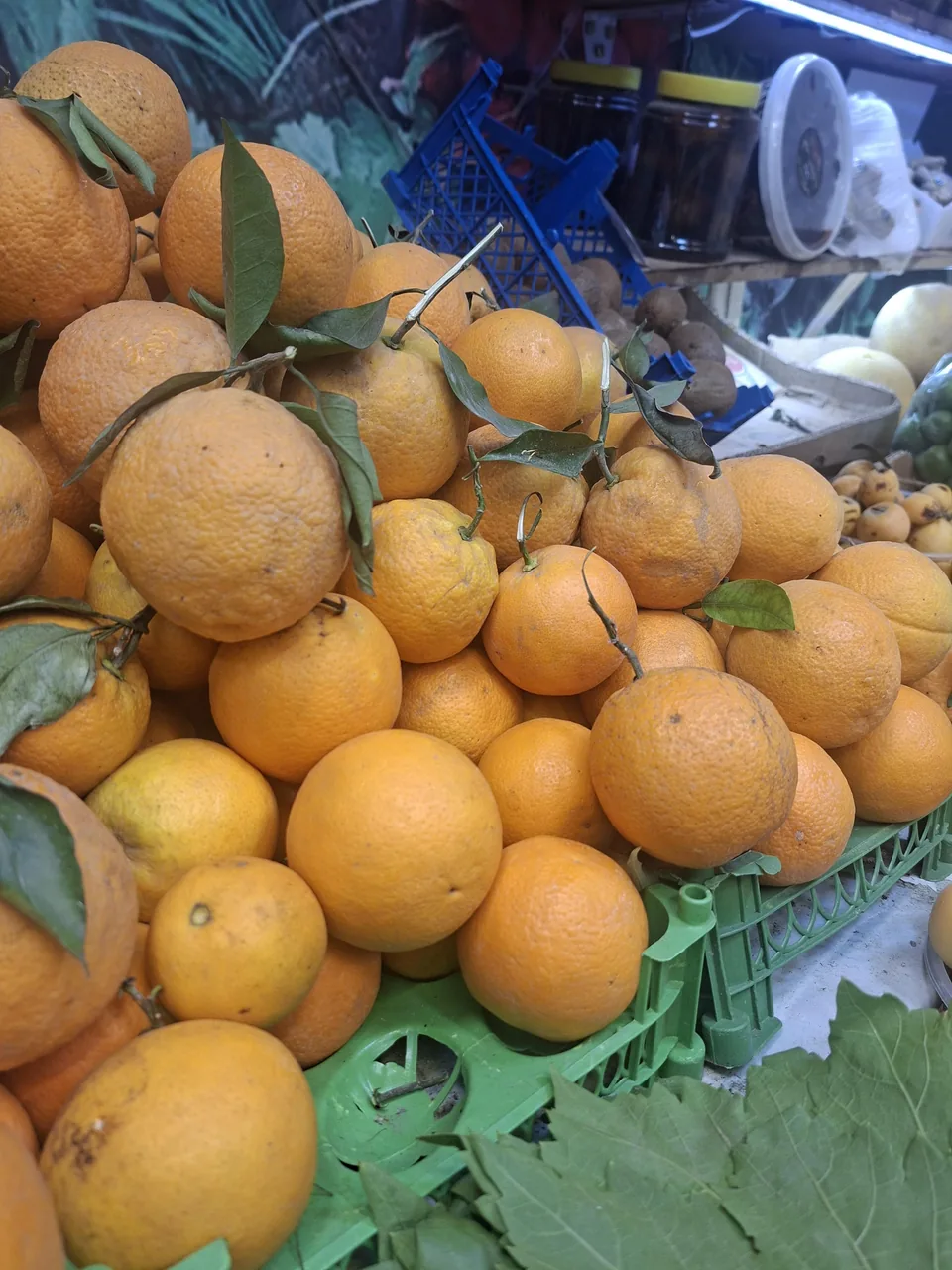کلبه سبزی - تصویر 3