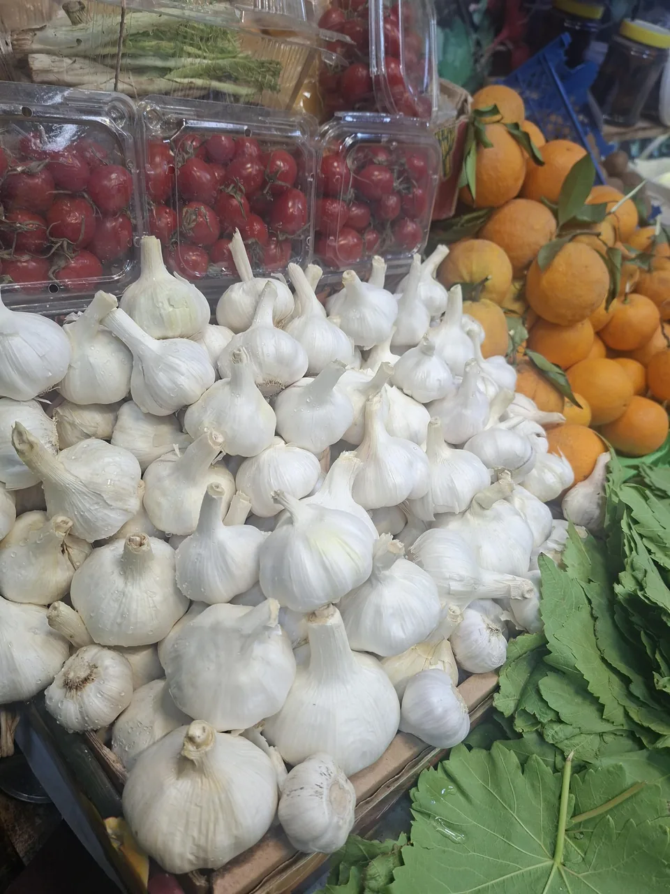 کلبه سبزی - تصویر 4