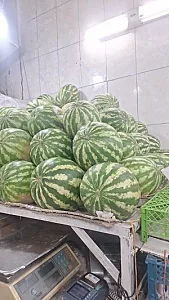 میوه فروشی صادقیان