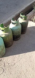 پیک نیک پر کنی پارس شعله