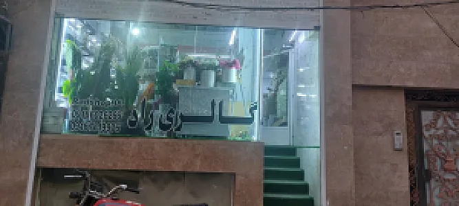 گالری راد