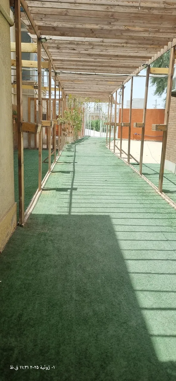 هتل فرهیختگان - تصویر 5
