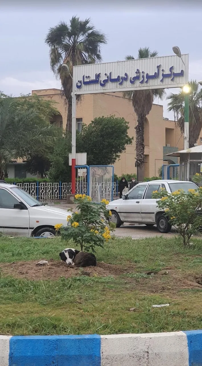 بیمارستان دولتی آموزشی گلستان - تصویر 3
