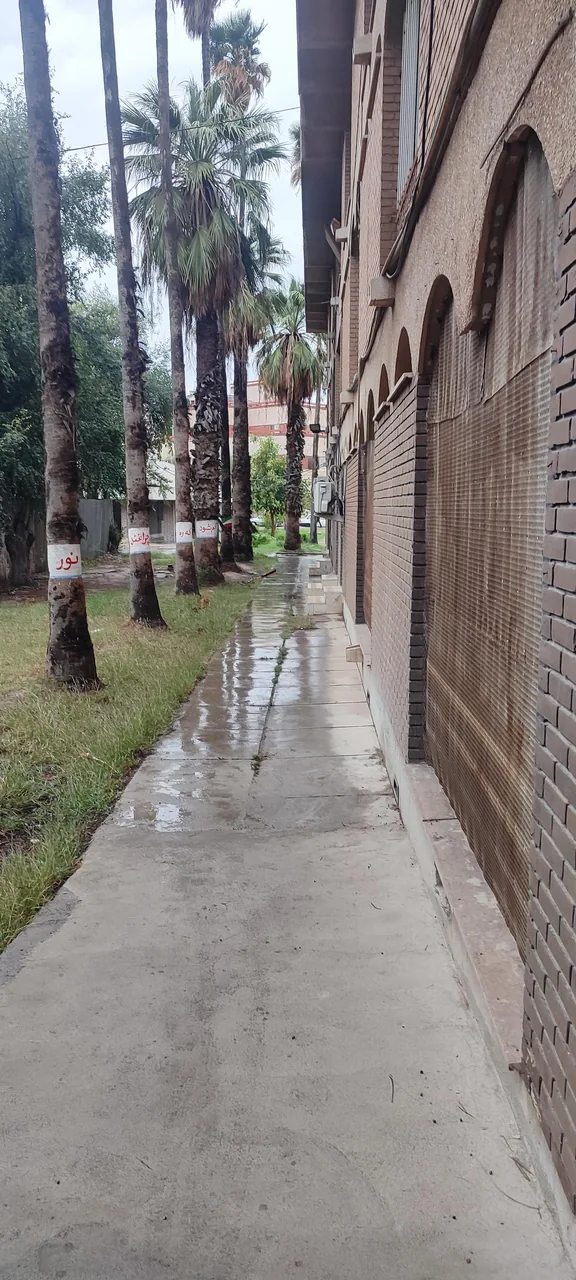 بیمارستان دولتی آموزشی گلستان - تصویر 4