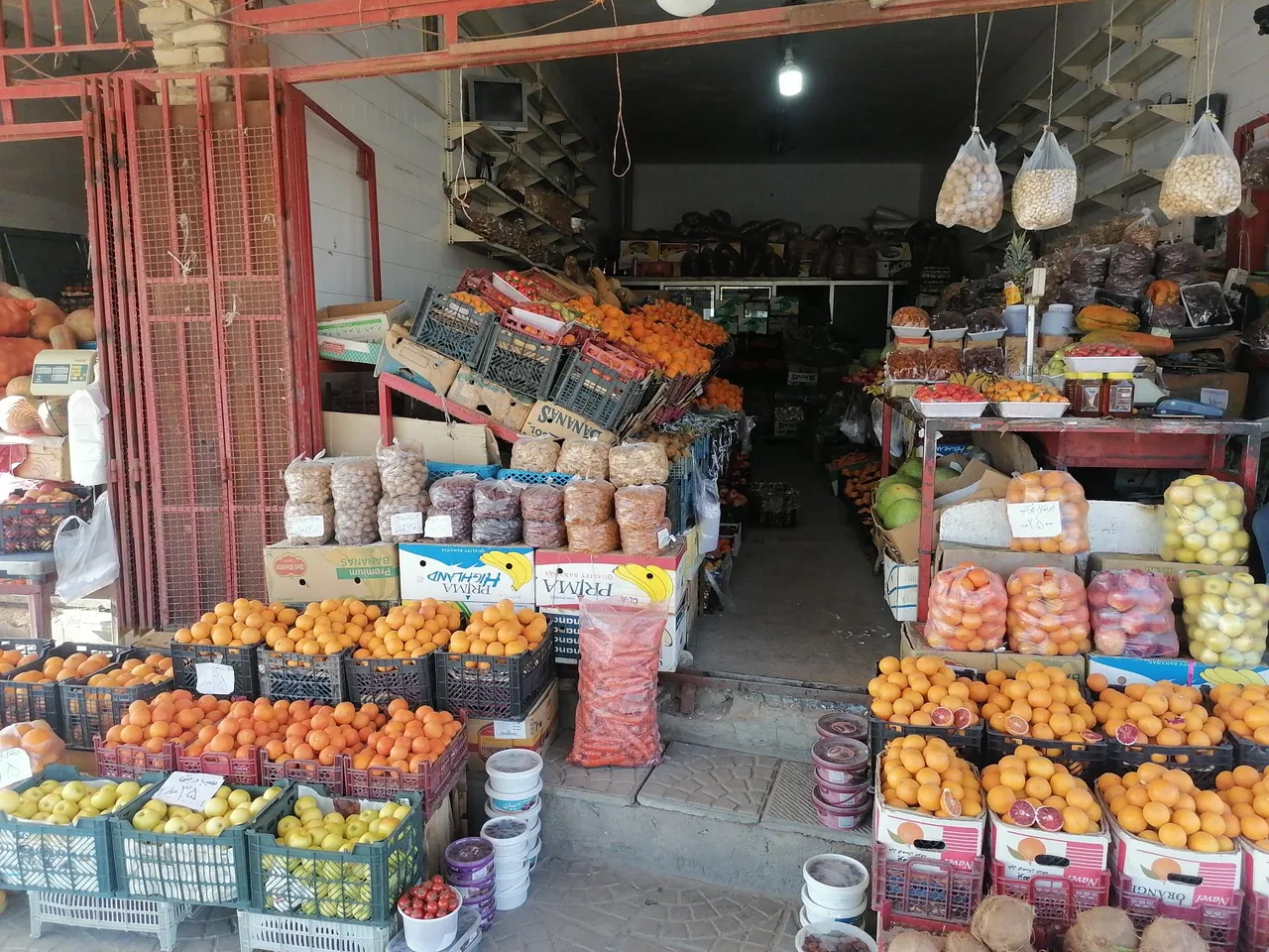 میوه فروشی برادران کدوئی