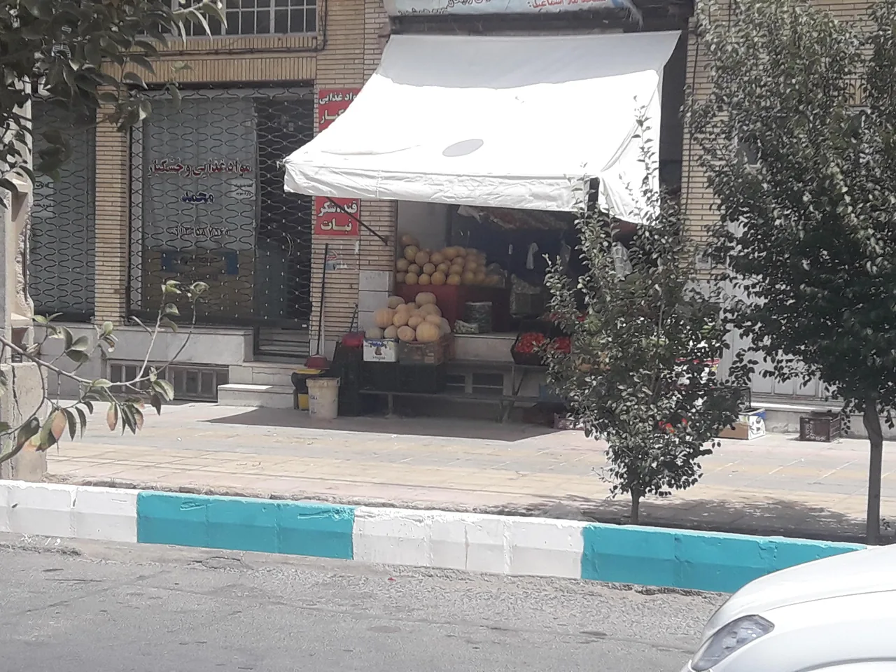 میوه فروشی زینلی
