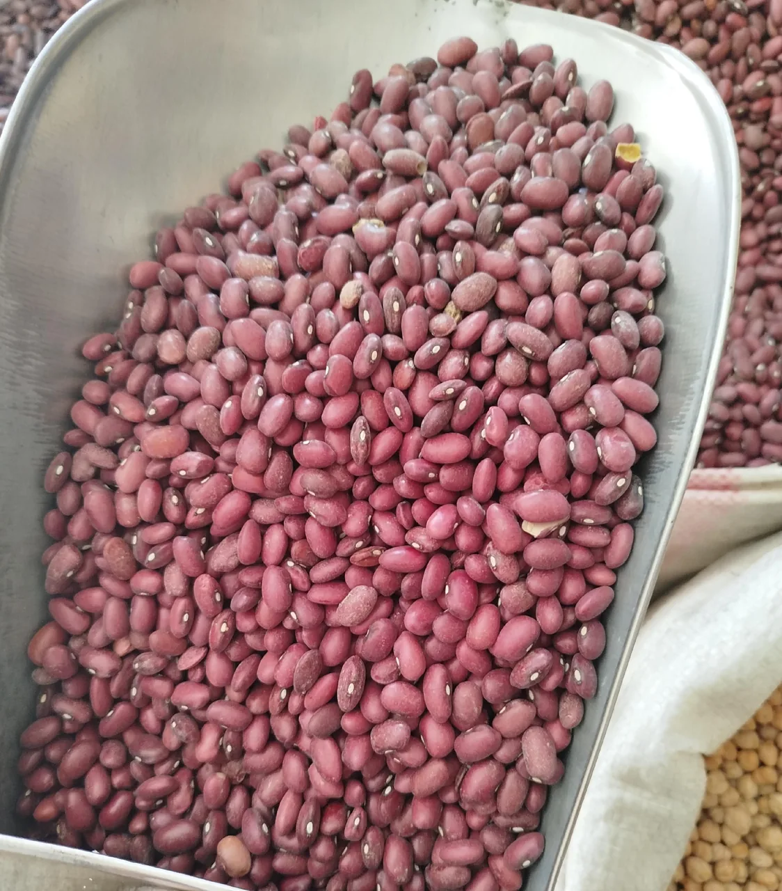 عمده فروشی حبوبات مصطفایی