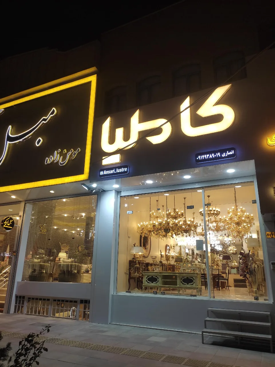 لوستر انصاری (کاملیا)
