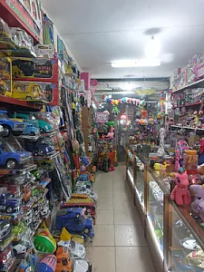 اسباب بازی آرین