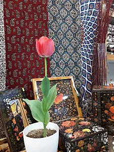 فروشگاه صدری
