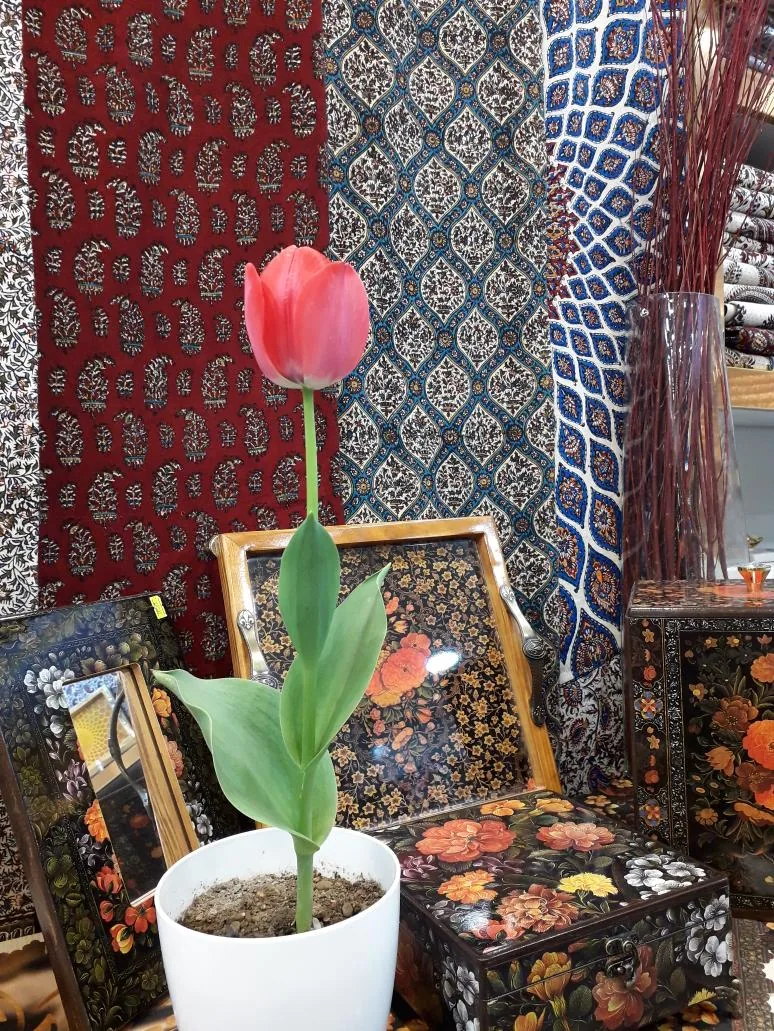 فروشگاه صدری