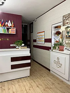 موسسه زبان بیان نو ایرانیان