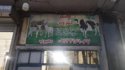گوسفند فروشی نجف‌پور