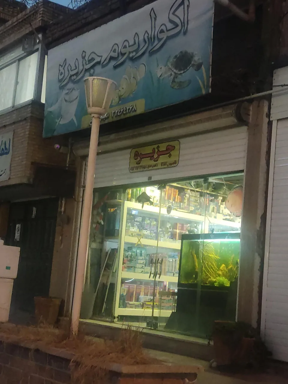 آکواریوم جزیره
