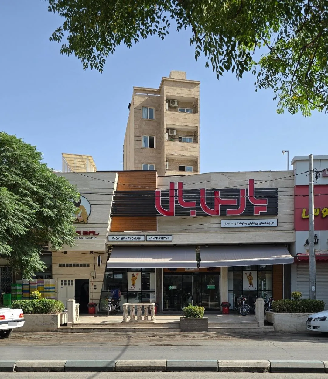 پروتئین پارس بال