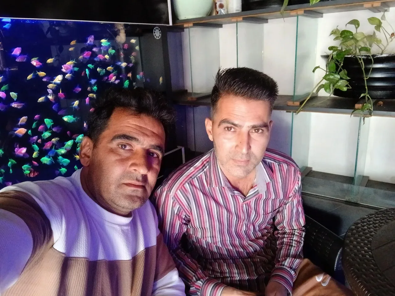 کافه دارک - تصویر 2