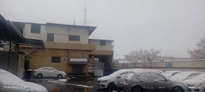 نمایندگی سایپا علی گروهی
