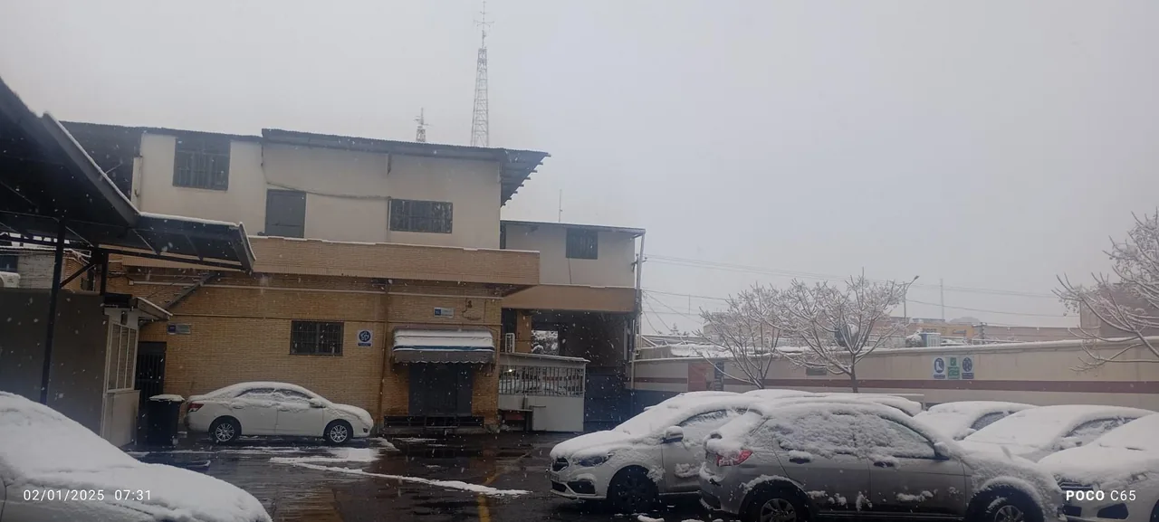 نمایندگی سایپا علی گروهی - نمایندگی خودرو در کرمان