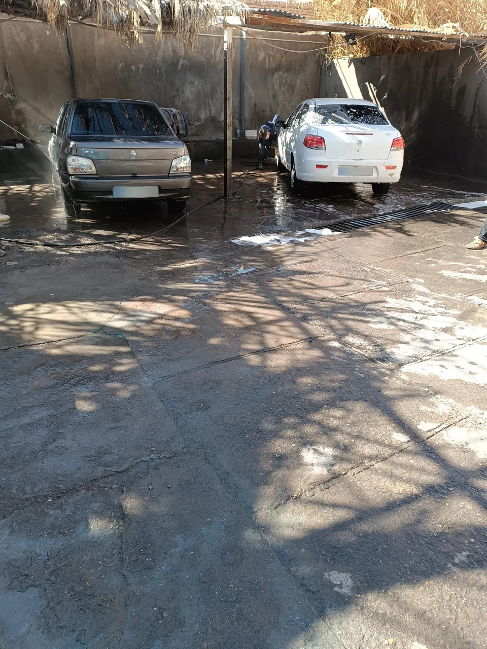 کارواش آرش