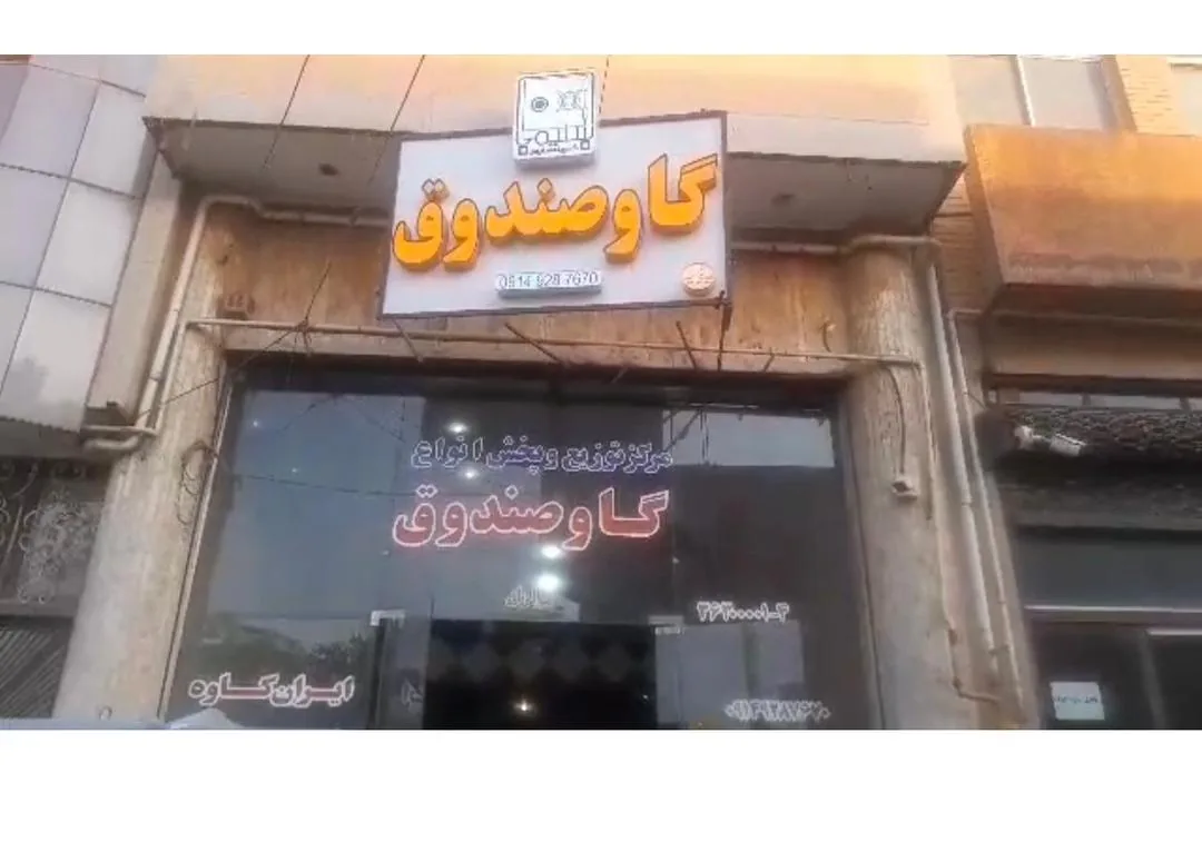 گاوصندوق سلیمی - تصویر 2
